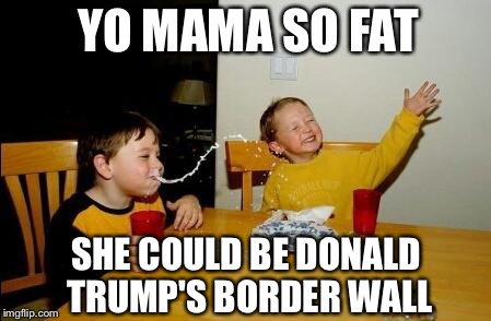 Yo Mama Border Security | YO MAMA SO FAT SHE COULD BE DONALD TRUMP'S BORDER WALL | image tagged in yo mama so fat,memes,donald trump,funny,secure the border,funny memes | made w/ Imgflip meme maker