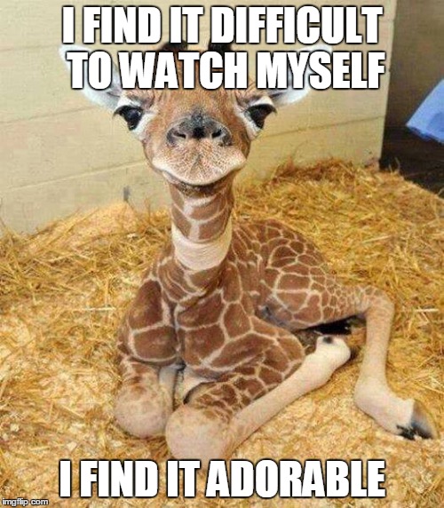 I FIND IT DIFFICULT TO WATCH MYSELF I FIND IT ADORABLE | image tagged in morgan freeman,morgan freeman quote,giraffe,funny,funny memes,funny animals | made w/ Imgflip meme maker