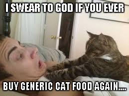 A happy cat is a cat that won't kill you in your sleep... | I SWEAR TO GOD IF YOU EVER BUY GENERIC CAT FOOD AGAIN.... | image tagged in cat strangler,cats,funny cats,funny,animals | made w/ Imgflip meme maker