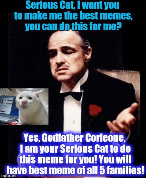 Godfather Don Corleone is another "Loyal" customer of Serious Cat Meme Company. We treat you like "Family."  | Serious Cat, I want you to make me the best memes, you can do this for me? Yes, Godfather Corleone, I am your Serious Cat to do this meme fo | image tagged in godfather,meme,funny memes | made w/ Imgflip meme maker