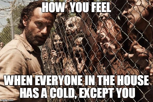 zombies | HOW  YOU FEEL WHEN EVERYONE IN THE HOUSE HAS A COLD, EXCEPT YOU | image tagged in zombies | made w/ Imgflip meme maker