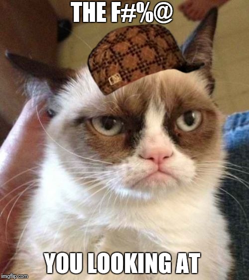 Grumpy Cat Reverse | THE F#%@ YOU LOOKING AT | image tagged in memes,grumpy cat reverse,grumpy cat,scumbag | made w/ Imgflip meme maker