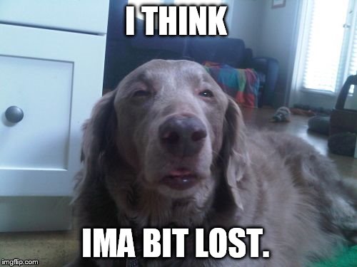 High Dog Meme | I THINK IMA BIT LOST. | image tagged in memes,high dog | made w/ Imgflip meme maker