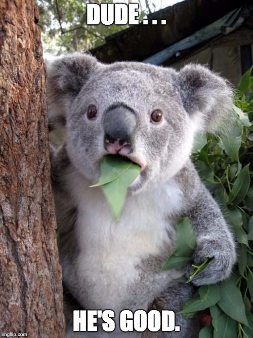 WTF Koala | DUDE . . . HE'S GOOD. | image tagged in wtf koala | made w/ Imgflip meme maker