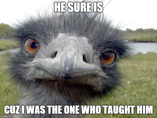 HE SURE IS CUZ I WAS THE ONE WHO TAUGHT HIM | made w/ Imgflip meme maker