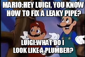 MARIO:HEY LUIGI, YOU KNOW HOW TO FIX A LEAKY PIPE? LUIGI:WHAT DO I LOOK LIKE A PLUMBER? | image tagged in super mario | made w/ Imgflip meme maker