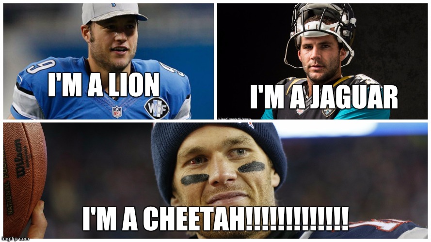 LOL. | I'M A LION I'M A CHEETAH!!!!!!!!!!!!! I'M A JAGUAR | image tagged in tom brady,cheetah,im a lion,im a jaguar,im a cheetah,nfl | made w/ Imgflip meme maker