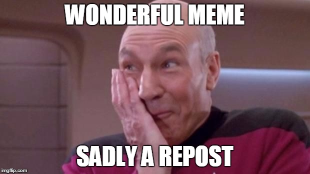 Maybe I have a weird sense of humor... I like to call "repost" on obviously original memes as a joke. | WONDERFUL MEME SADLY A REPOST | image tagged in picard oops,memes | made w/ Imgflip meme maker