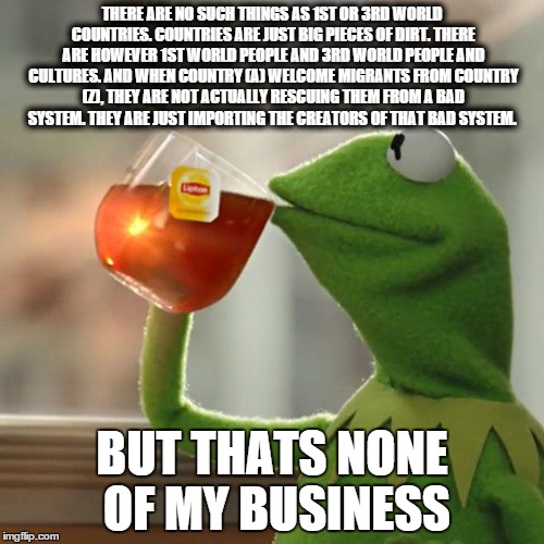 But That's None Of My Business Meme | THERE ARE NO SUCH THINGS AS 1ST OR 3RD WORLD COUNTRIES. COUNTRIES ARE JUST BIG PIECES OF DIRT. THERE ARE HOWEVER 1ST WORLD PEOPLE AND 3RD WO | image tagged in memes,but thats none of my business,kermit the frog,european | made w/ Imgflip meme maker