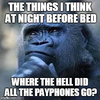 Thinking ape | THE THINGS I THINK AT NIGHT BEFORE BED WHERE THE HELL DID ALL THE PAYPHONES GO? | image tagged in thinking ape | made w/ Imgflip meme maker