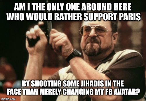 Dealing with Jihadis requires targeted use of overwhelming violence, not "jobs", "hugs" or "compassion"... | AM I THE ONLY ONE AROUND HERE WHO WOULD RATHER SUPPORT PARIS BY SHOOTING SOME JIHADIS IN THE FACE THAN MERELY CHANGING MY FB AVATAR? | image tagged in memes,am i the only one around here | made w/ Imgflip meme maker