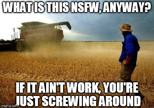 Used to love the boss's one month vacations | WHAT IS THIS NSFW, ANYWAY? IF IT AIN'T WORK, YOU'RE JUST SCREWING AROUND | image tagged in farmer,memes,work,ethics,slacker | made w/ Imgflip meme maker