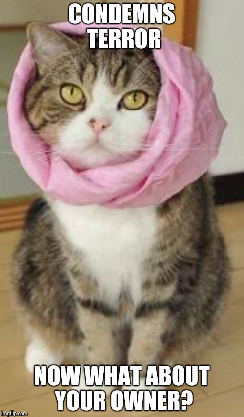 Muslim pussy  | CONDEMNS TERROR NOW WHAT ABOUT YOUR OWNER? | image tagged in muslim realizes,muslim,cats,meme,memes,true | made w/ Imgflip meme maker