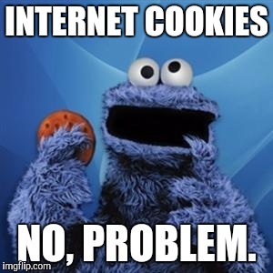 Cookie monster | INTERNET COOKIES NO, PROBLEM. | image tagged in cookie monster,sesame street | made w/ Imgflip meme maker
