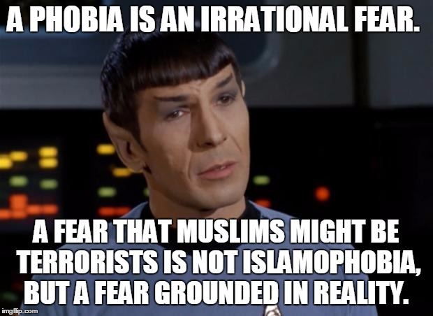 That is eminently logical.  | A PHOBIA IS AN IRRATIONAL FEAR. A FEAR THAT MUSLIMS MIGHT BE TERRORISTS IS NOT ISLAMOPHOBIA, BUT A FEAR GROUNDED IN REALITY. | image tagged in spock illogical,islam,terror | made w/ Imgflip meme maker