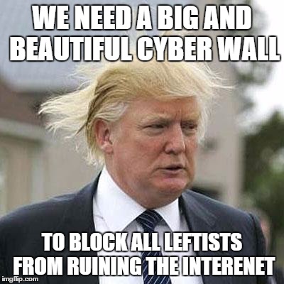 Donald Trump | WE NEED A BIG AND BEAUTIFUL CYBER WALL TO BLOCK ALL LEFTISTS FROM RUINING THE INTERENET | image tagged in donald trump | made w/ Imgflip meme maker