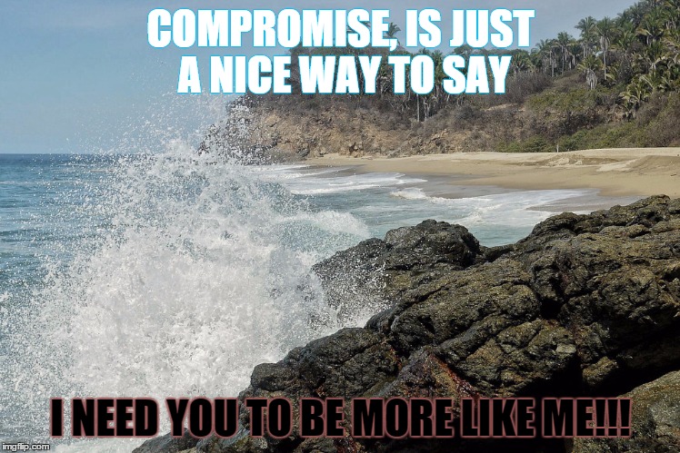 compromise | COMPROMISE, IS JUST A NICE WAY TO SAY I NEED YOU TO BE MORE LIKE ME!!! | image tagged in compromise,like me | made w/ Imgflip meme maker