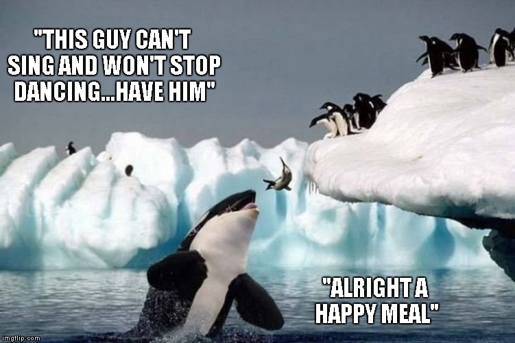 How "Happy Feet" could have ended... | "THIS GUY CAN'T SING AND WON'T STOP DANCING...HAVE HIM" "ALRIGHT A HAPPY MEAL" | image tagged in killer whale and seal,funny animals,funny,animals | made w/ Imgflip meme maker