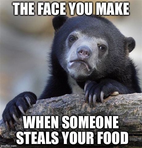 Confession Bear Meme Imgflip