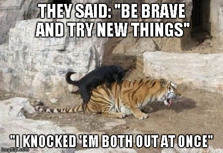 Never be afraid to try new things | THEY SAID: "BE BRAVE AND TRY NEW THINGS" "I KNOCKED 'EM BOTH OUT AT ONCE" | image tagged in dog vs cat,dog,tiger,funny animals,funny | made w/ Imgflip meme maker