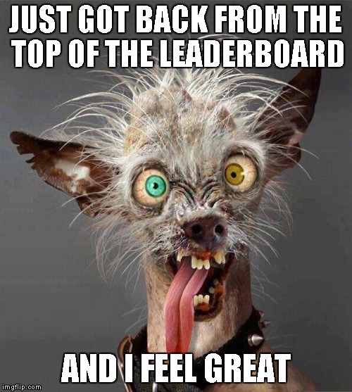 Big SHOUT OUT to the Imgflip community for helping me to be there. Thank you ALL. | JUST GOT BACK FROM THE TOP OF THE LEADERBOARD AND I FEEL GREAT | image tagged in ugly dog,dog,funny animals,funny | made w/ Imgflip meme maker