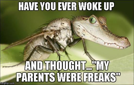 Do you really ever "KNOW" your parents? | HAVE YOU EVER WOKE UP AND THOUGHT..."MY PARENTS WERE FREAKS" | image tagged in crocofly,funny animals,insects,funny,animals | made w/ Imgflip meme maker