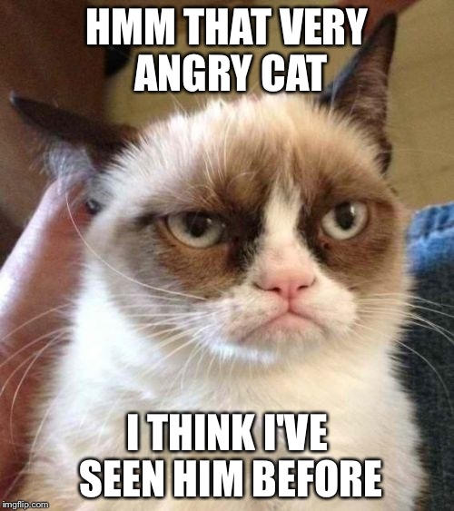 Grumpy Cat Reverse | HMM THAT VERY ANGRY CAT I THINK I'VE SEEN HIM BEFORE | image tagged in memes,grumpy cat reverse,grumpy cat | made w/ Imgflip meme maker