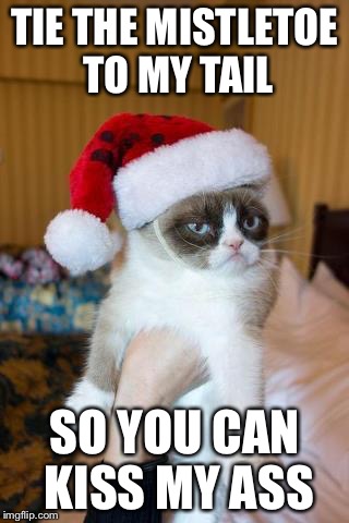 Grumpy Cat Christmas | TIE THE MISTLETOE TO MY TAIL SO YOU CAN KISS MY ASS | image tagged in memes,grumpy cat christmas,grumpy cat | made w/ Imgflip meme maker