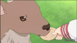 never feed the wildlife... | NEVER FEED THE WILDLIFE | image tagged in gifs | made w/ Imgflip video-to-gif maker