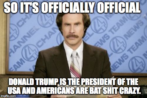 Officially official | SO IT'S OFFICIALLY OFFICIAL DONALD TRUMP IS THE PRESIDENT OF THE USA AND AMERICANS ARE BAT SHIT CRAZY. | image tagged in memes,ron burgundy,donald trump,trump 2016 | made w/ Imgflip meme maker