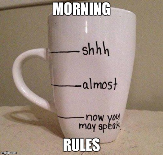 Morning Rules | MORNING RULES | image tagged in morning rules | made w/ Imgflip meme maker