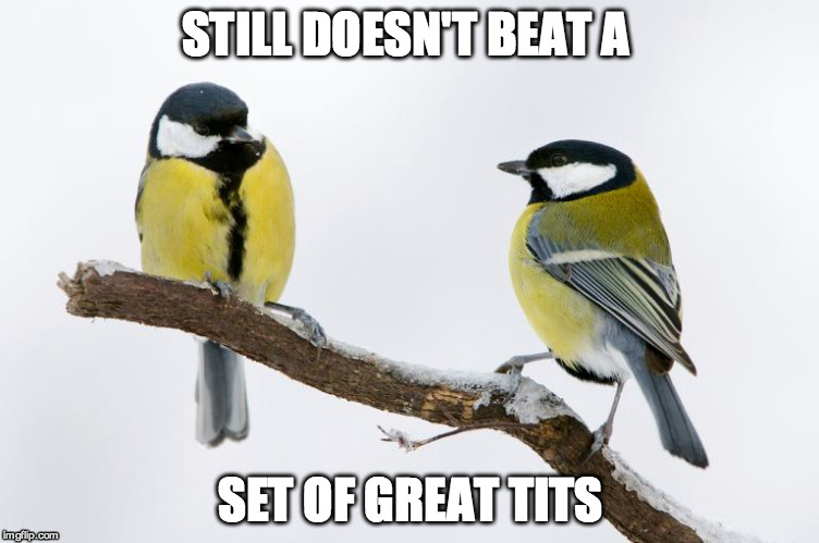 STILL DOESN'T BEAT A SET OF GREAT TITS | made w/ Imgflip meme maker