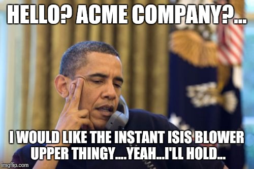 Obama and his solution to terrorism.... | HELLO? ACME COMPANY?... I WOULD LIKE THE INSTANT ISIS BLOWER UPPER THINGY....YEAH...I'LL HOLD... | image tagged in memes,no i cant obama | made w/ Imgflip meme maker