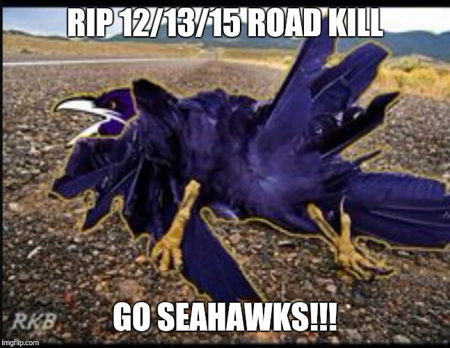 Ravens Road Kill | RIP 12/13/15 ROAD KILL GO SEAHAWKS!!! | image tagged in seattle seahawks | made w/ Imgflip meme maker
