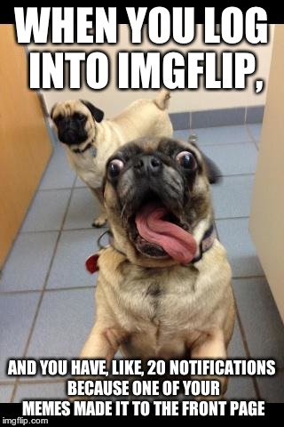 So excited  | WHEN YOU LOG INTO IMGFLIP, AND YOU HAVE, LIKE, 20 NOTIFICATIONS BECAUSE ONE OF YOUR MEMES MADE IT TO THE FRONT PAGE | image tagged in so excited | made w/ Imgflip meme maker