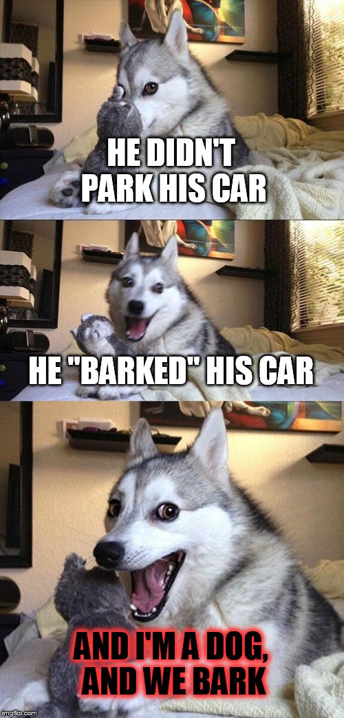 HE DIDN'T PARK HIS CAR HE "BARKED" HIS CAR AND I'M A DOG, AND WE BARK | image tagged in memes,bad pun dog | made w/ Imgflip meme maker
