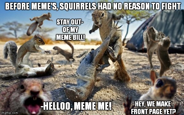 What have we started?!? | BEFORE MEME'S, SQUIRRELS HAD NO REASON TO FIGHT -HELLOO, MEME ME! HEY, WE MAKE FRONT PAGE YET? STAY OUT- OF MY MEME BILL! | image tagged in squirrels,funny,royal rumble | made w/ Imgflip meme maker