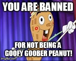 YOU ARE BANNED FOR NOT BEING A GOOFY GOOBER PEANUT! | image tagged in goofy goober peanut | made w/ Imgflip meme maker