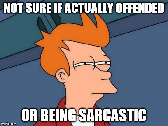 NOT SURE IF ACTUALLY OFFENDED OR BEING SARCASTIC | image tagged in memes,futurama fry | made w/ Imgflip meme maker