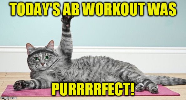 Exercise cat | TODAY'S AB WORKOUT WAS PURRRRFECT! | image tagged in exercise cat | made w/ Imgflip meme maker