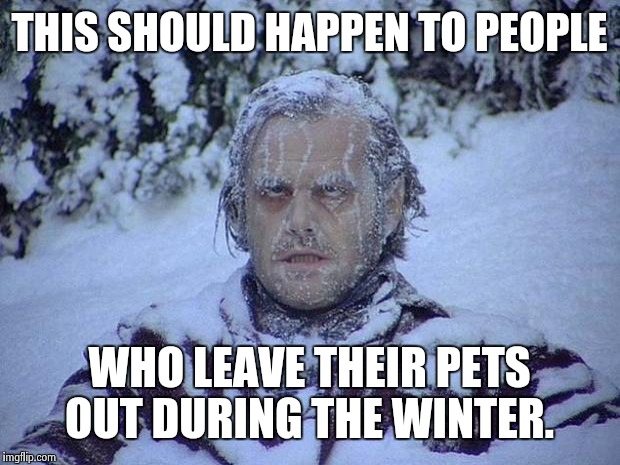Jack Nicholson The Shining Snow | THIS SHOULD HAPPEN TO PEOPLE WHO LEAVE THEIR PETS OUT DURING THE WINTER. | image tagged in memes,jack nicholson the shining snow | made w/ Imgflip meme maker