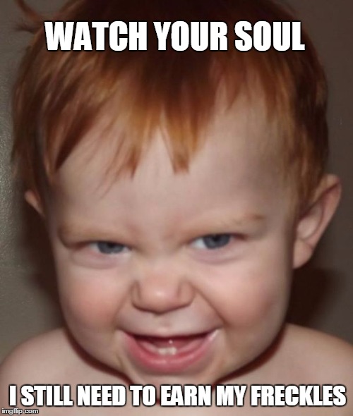 Ginger | WATCH YOUR SOUL I STILL NEED TO EARN MY FRECKLES | image tagged in ginger | made w/ Imgflip meme maker