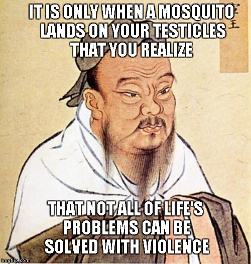 I can't think of too many men that would disagree with this one. | IT IS ONLY WHEN A MOSQUITO LANDS ON YOUR TESTICLES THAT YOU REALIZE THAT NOT ALL OF LIFE'S PROBLEMS CAN BE SOLVED WITH VIOLENCE | image tagged in confucious say,confucius,funny quotes,quotes,funny | made w/ Imgflip meme maker