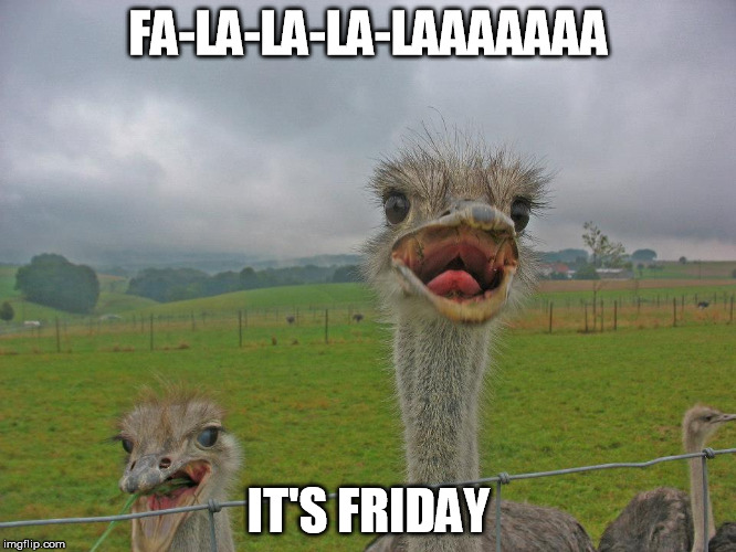 Weekend is coming | FA-LA-LA-LA-LAAAAAAA IT'S FRIDAY | image tagged in tgif,weekend,ostrich,singing | made w/ Imgflip meme maker