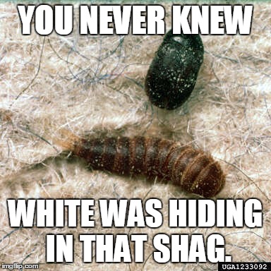 YOU NEVER KNEW WHITE WAS HIDING IN THAT SHAG. | made w/ Imgflip meme maker