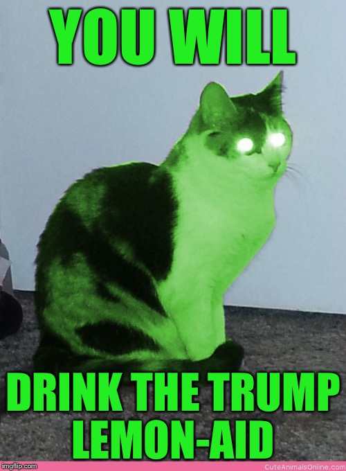 Hypno Raycat | YOU WILL DRINK THE TRUMP LEMON-AID | image tagged in hypno raycat | made w/ Imgflip meme maker