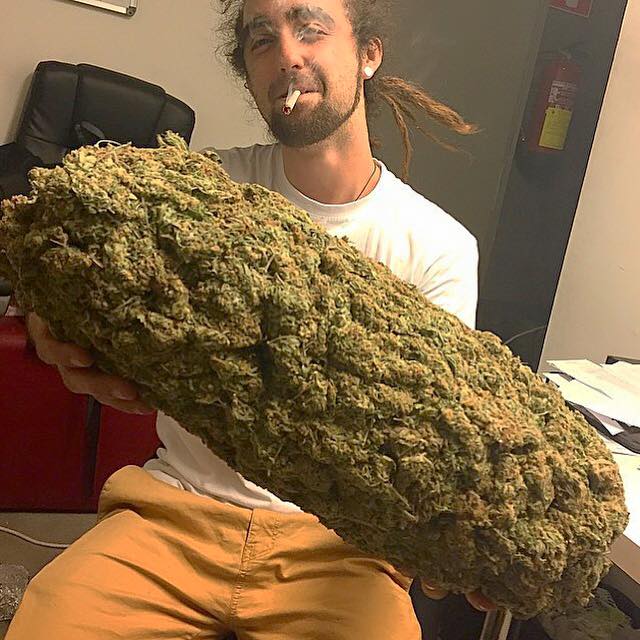 Weed stoner