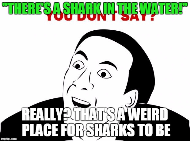 You Don't Say | "THERE'S A SHARK IN THE WATER!" REALLY? THAT'S A WEIRD PLACE FOR SHARKS TO BE | image tagged in memes,you don't say | made w/ Imgflip meme maker
