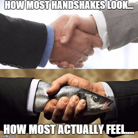 Reality of Handshakes | HOW MOST HANDSHAKES LOOK... HOW MOST ACTUALLY FEEL.... | image tagged in meme,handshake,fish,hands,funny | made w/ Imgflip meme maker