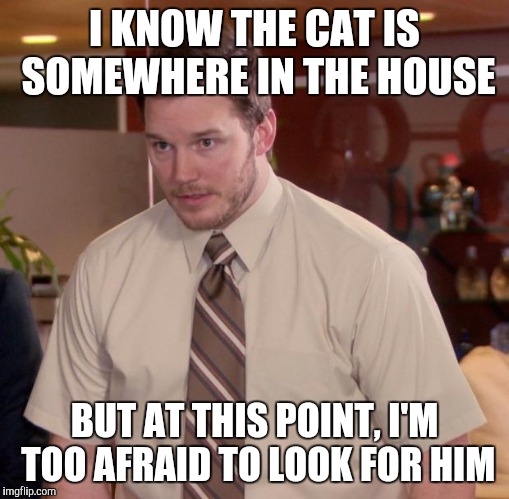 Afraid To Look Andy | I KNOW THE CAT IS SOMEWHERE IN THE HOUSE BUT AT THIS POINT, I'M TOO AFRAID TO LOOK FOR HIM | image tagged in memes,afraid to ask andy,funny | made w/ Imgflip meme maker
